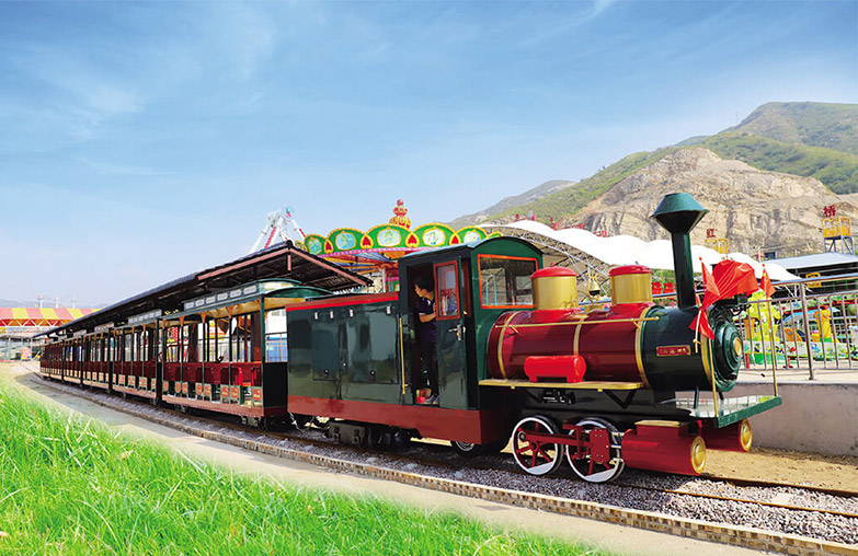 Sightseeing Track Train Case