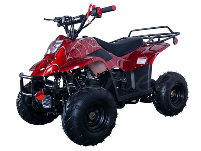 110CC ATV Quad Bike for Kids