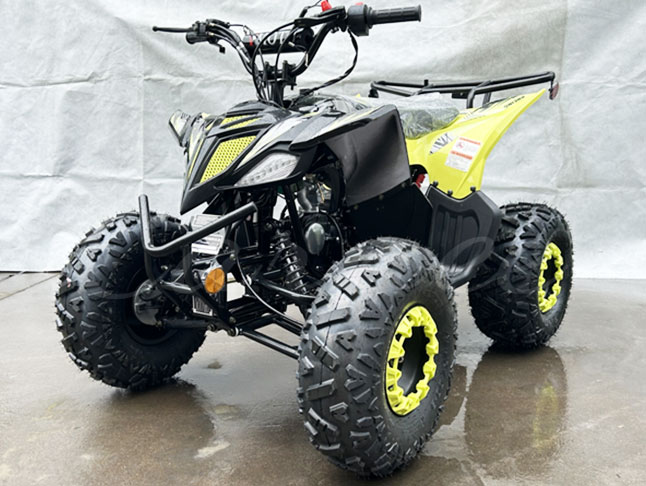 125CC Four Wheel ATV Quad Bike