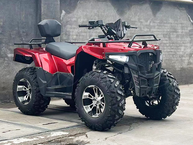 Off Road Four Wheel Motorbike (ATV - 300CC )