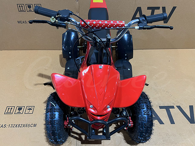 Mini Moto Quad Bike for Sale (ATV - 49CC)