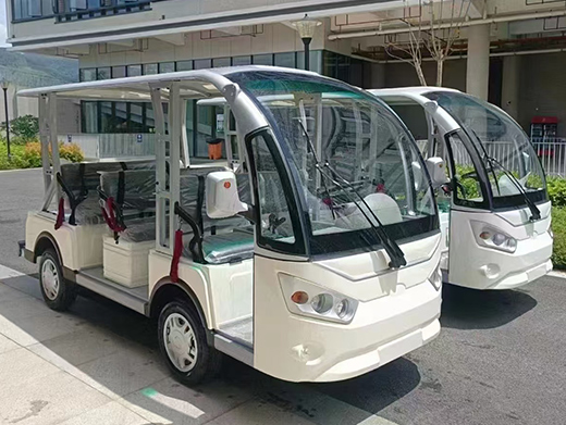 8 Seater Electric Shuttle Bus