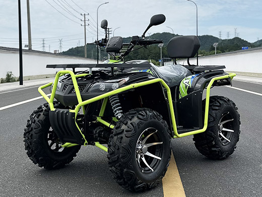 ATV Adult Quad Bike