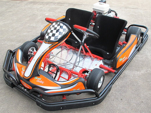 Adult Gas Go Kart 2 Seater