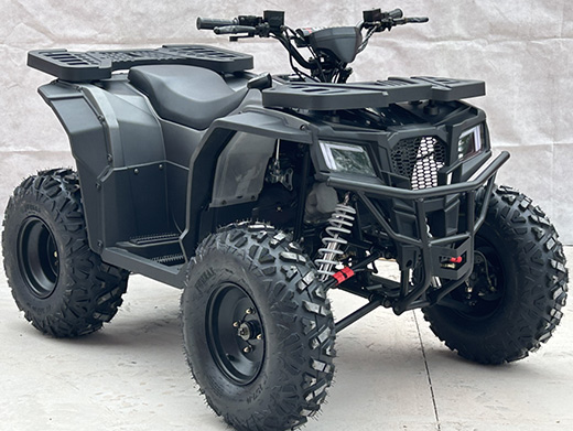 Mini Electric Quad ATV 150CC200cc