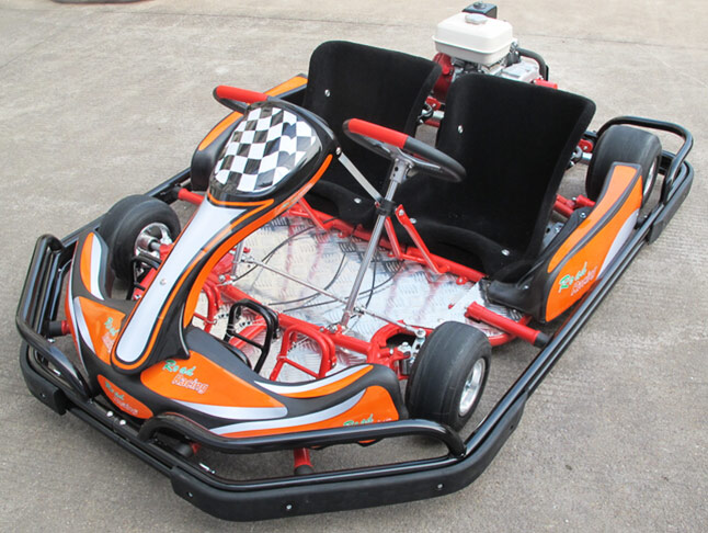 Adult Gas Go Kart 2 Seater