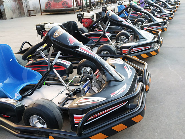 Adult Gas Go Kart 2 Seater