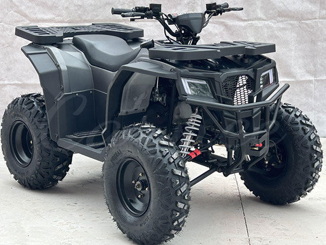 Mini Electric Quad ATV Bike 150CC/200cc