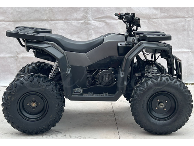 Mini Electric Quad ATV Bike 150CC/200cc