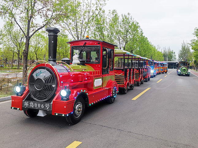 Medium Sightseeing Trackless Train