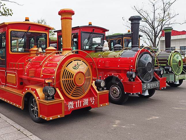 Medium Sightseeing Trackless Train