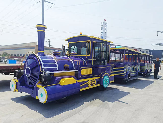 Medium Sightseeing Trackless Train