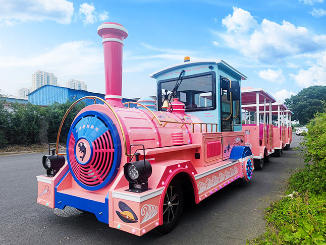 Medium Sightseeing Trackless Train