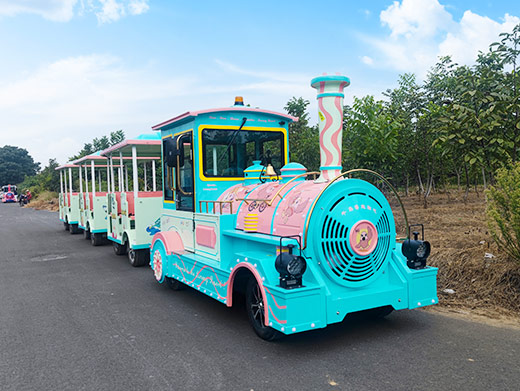 Medium Trackless Train